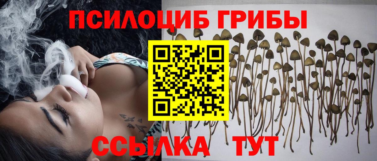 Псилоцибиновые грибы MAGIC MUSHROOMS Алексеевка